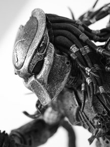 Predator | Хищник