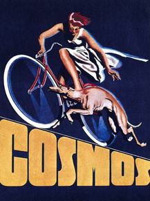 Cosmos | Ретро Велосипед