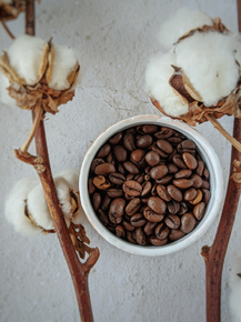 Coffee | Кофе