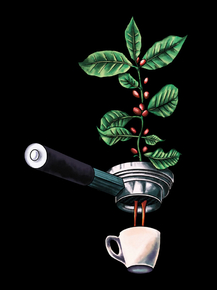 Coffee | Кофе