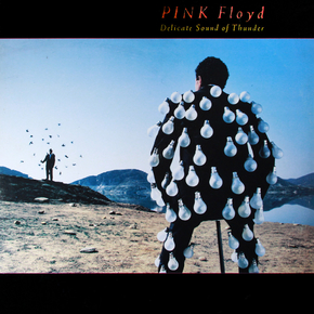 Pink Floyd - Delicate Sound of Thunder | Пинк Флойд