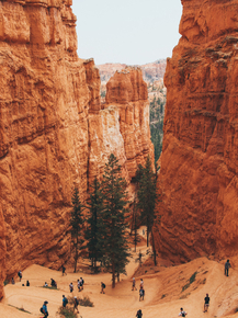 Grand canyon | Большой каньон
