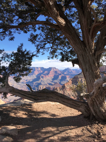 Grand canyon | Большой каньон