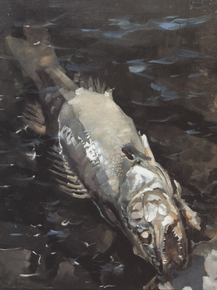 Axel Waldemar Gallen - Rotting Fish, 1884 | Аксели Галлен-Каллела