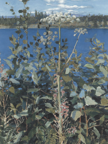 Axel Waldemar Gallen - Wild Angelica, 1889 | Аксели Галлен-Каллела