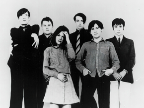 Pulp