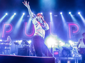 Pulp