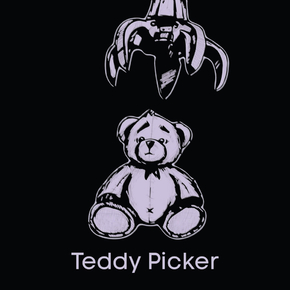Arctic Monkeys - Teddy Picker