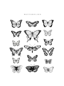 Butterflies | Бабочка (Коллекция постеров)