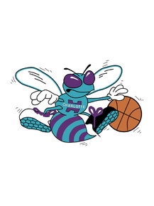 Баскетбол (Коллекция постеров №5) - Charlotte Hornets