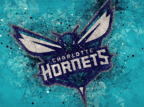 Баскетбол (Коллекция постеров №3) - Charlotte Hornets