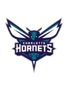 Баскетбол (Коллекция постеров №5) - Charlotte Hornets