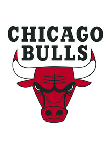 Баскетбол (Коллекция постеров №5) - Chicago Bulls