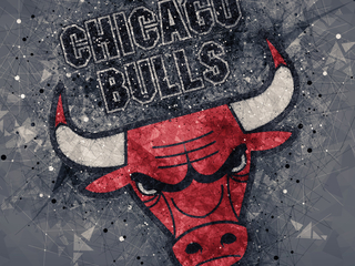 Категория постеров и плакатов Chicago Bulls