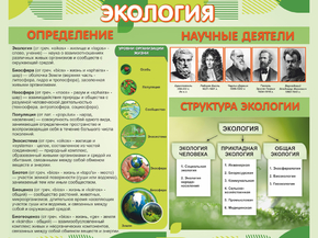Экология