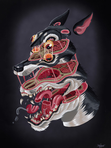 Nychos