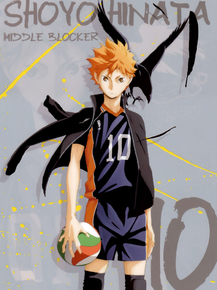 Haikyuu (Коллекция постеров) | Волейбол
