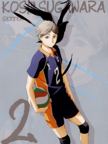 Haikyuu (Коллекция постеров) | Волейбол