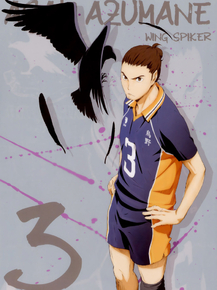 Haikyuu (Коллекция постеров) | Волейбол