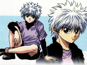 Hunter x Hunter (Коллекция постеров) | Охотник х Охотник