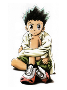 Hunter x Hunter (Коллекция постеров) | Охотник х Охотник