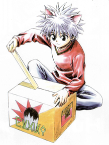 Hunter x Hunter (Коллекция постеров) | Охотник х Охотник