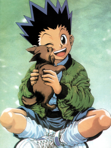 Hunter x Hunter (Коллекция постеров №1) | Охотник х Охотник