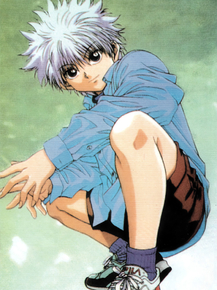Hunter x Hunter (Коллекция постеров №1) | Охотник х Охотник