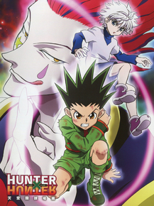 Hunter x Hunter | Охотник х Охотник