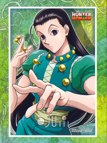 Hunter x Hunter (Коллекция постеров №5) | Охотник х Охотник