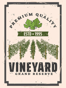 Вино (Коллекция постеров) - Vineyard