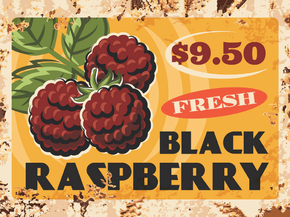 Еда (Коллекция постеров №4) - Black Raspberry | Черная малина