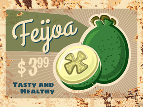 Еда (Коллекция постеров №4) - Feijoa | Фейджоа