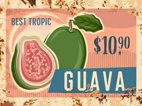 Еда (Коллекция постеров №4) - Guava Tropical Fruit | Гуава тропический фрукт