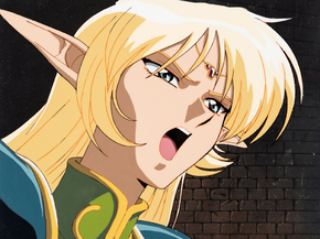 Record of Lodoss War | Летопись войн острова Лодосс Record of Lodoss War | Летопись войн острова Лодосс