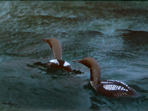 Bruno Liljefors - Black-throated Divers | Бруно Лильефорс