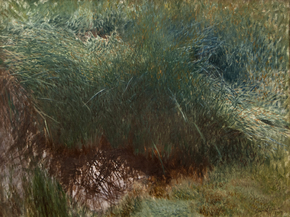 Bruno Liljefors - Clump of Reeds | Бруно Лильефорс