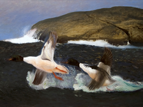 Bruno Liljefors - Mergansers | Бруно Лильефорс