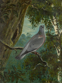 Bruno Liljefors - Stock Dove | Бруно Лильефорс