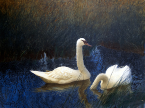 Bruno Liljefors - Swans in Reeds | Бруно Лильефорс