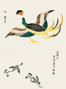 Yatsuo no Tsubaki