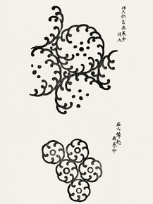 Yatsuo no Tsubaki