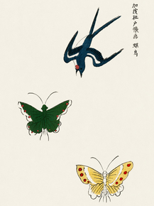 Yatsuo no Tsubaki