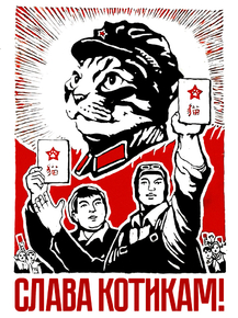 Слава Котикам!