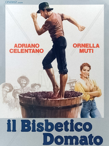 Il bisbetico domato | Укрощение строптивого