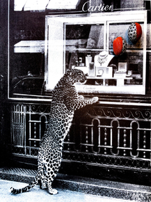 Сartier leopard