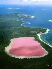 Розовое озеро