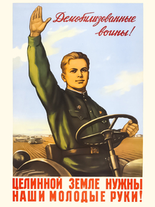 Демобилизованные Воины