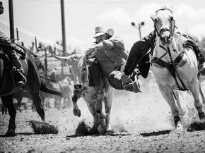 Carol M. Highsmith | Кэрол М. Хигсмит - Родео на праздновании Cheyenne Frontier Days в столице Вайоминга