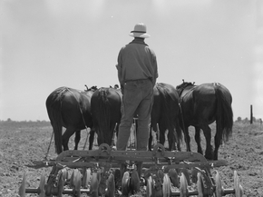 Dorothea Lange | Доротея Ланж - Диск использовался на кукурузных полях в Калифорнии